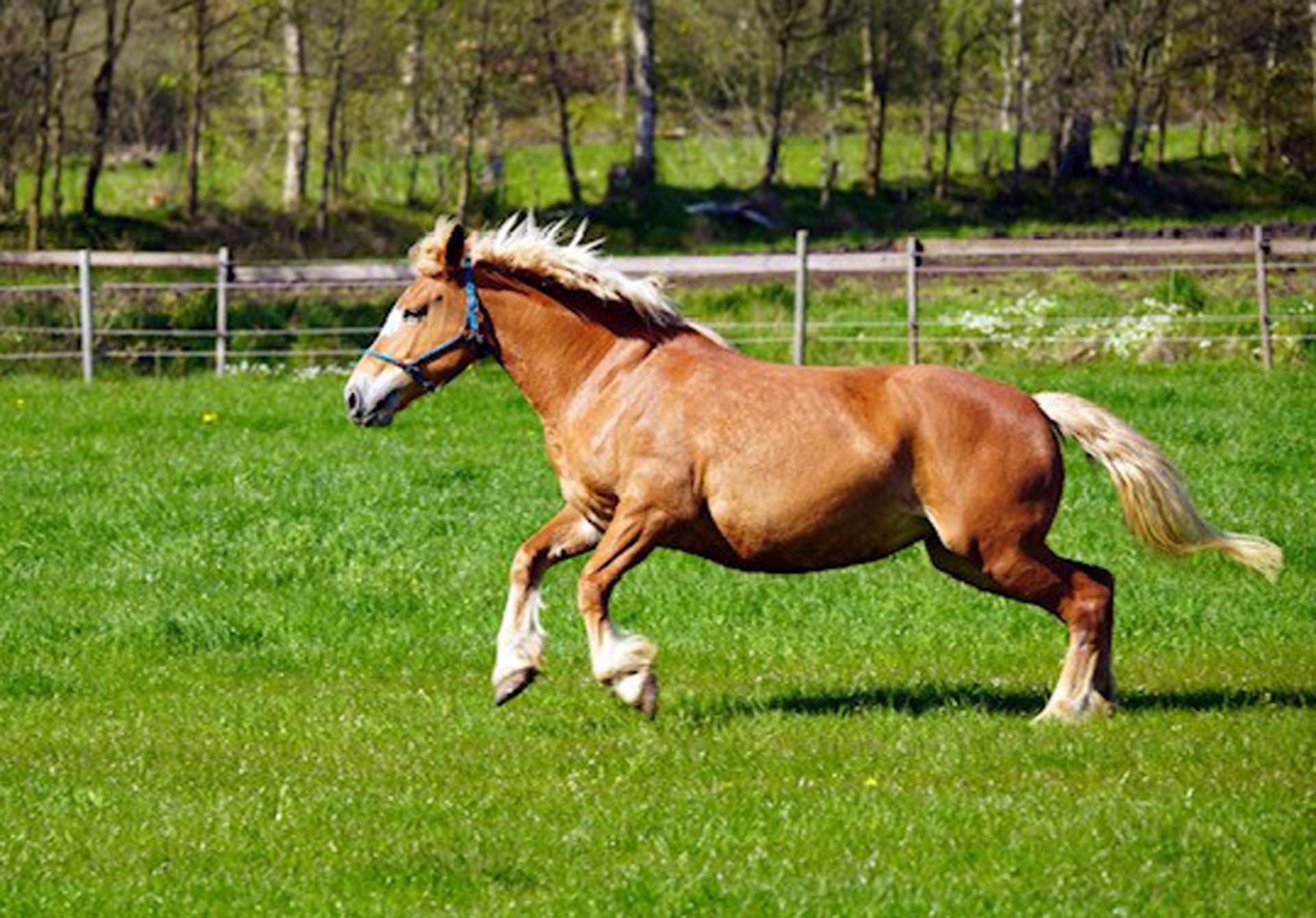 Ranke. Foto: privat