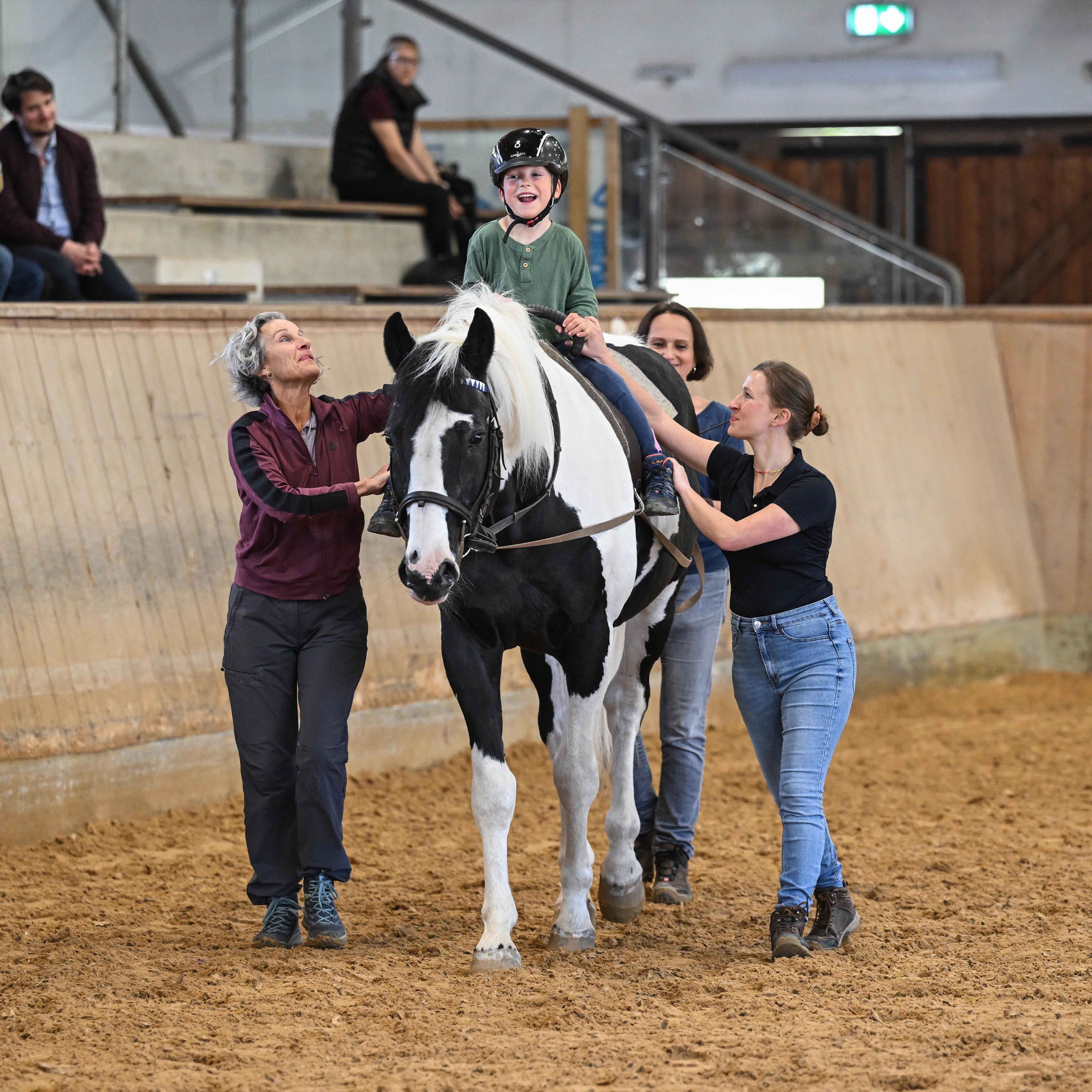 Langzügelarbeit. Hippotherapie. Foto: Hubert Fischer